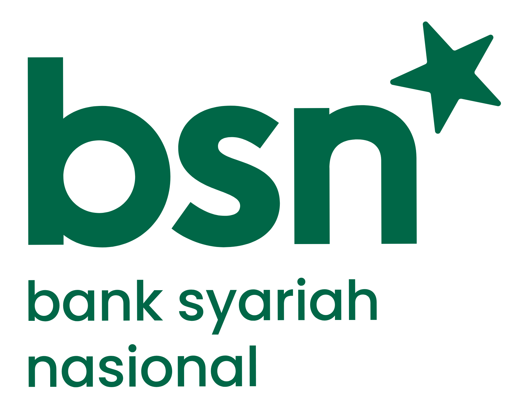 BSN Logo